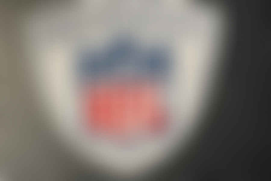 NFL Shield badge logo